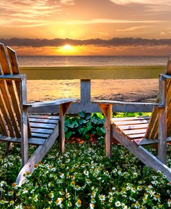 Paradise