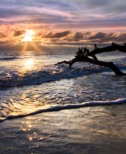 Sparkly Water at Driftwood Beach