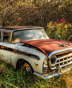 Sunlit Rambler