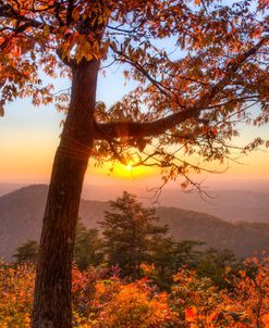 Sugar Loaf Mountain