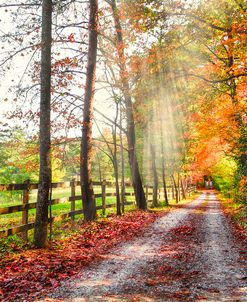 Take the Back Roads