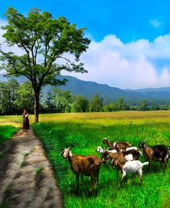 The Shepherdess