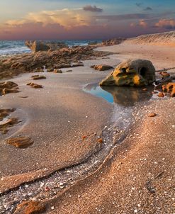 Tidal Pool