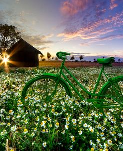 Tour de France