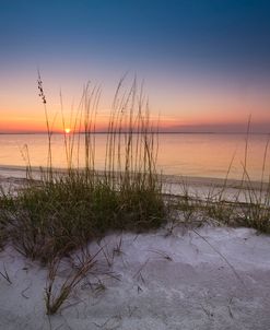 Sunset Dunes