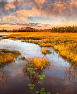 The Glades At Sunset