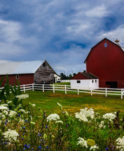 Red Barns Under Blue Skies