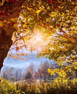 Appalachian Glow