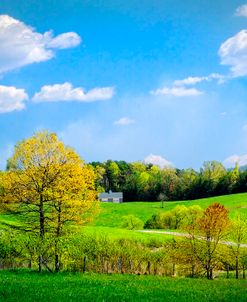 Country Road In Blue Ridge