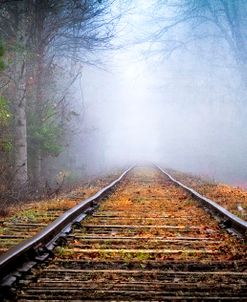 Traveling On The Tracks