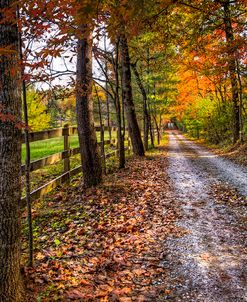 Autumn Colors