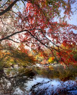 Morning Reflections