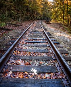 Mountain Tracks