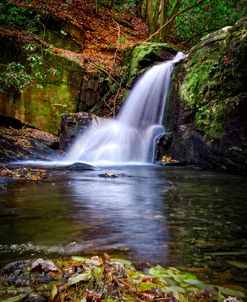 Forest Waterfall