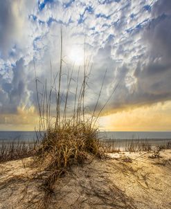 Golden Dunes