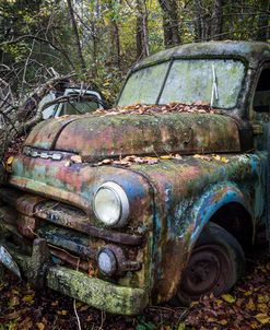 Old Dodge Truck