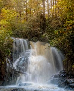 Waterfall After the Rain