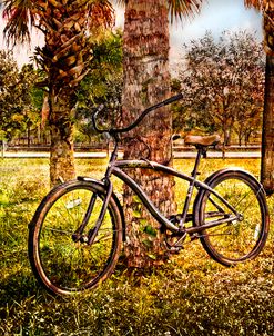 Bicycle in the Park