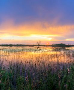 Lake Jackson Sebring Florida Panorama