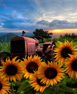 Tractor Heaven