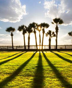 Sunset Sentinels