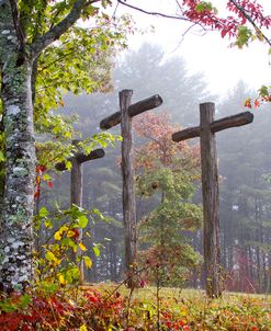 Flax Creek in the Fog