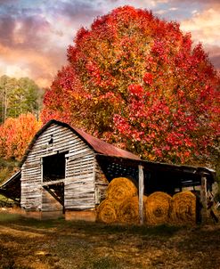 Autumn Hay Barn