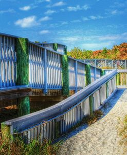 Beach Walk