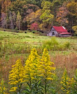 Autumn Fields