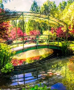 Bridge in the Garden