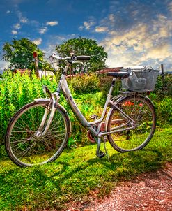 Bicycle in the Garden