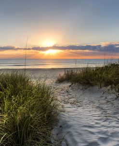 Dune Trail