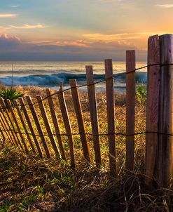 Coastal Dunes