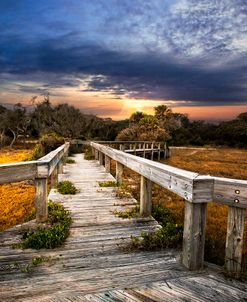 On the Edge of the Marsh