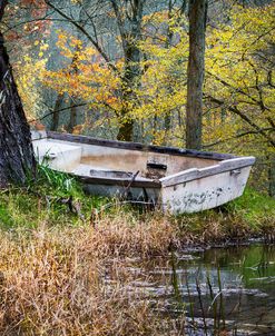 The Old Rowboat