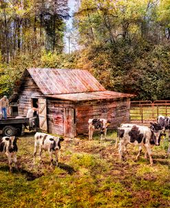 Work at the Farm