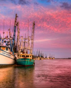 Harbor Sunset