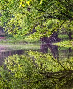 Meet Me at the Lake