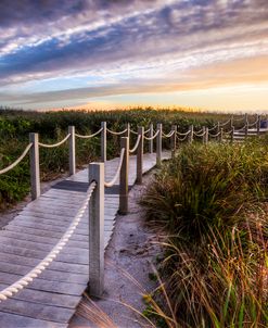 Dune Walk