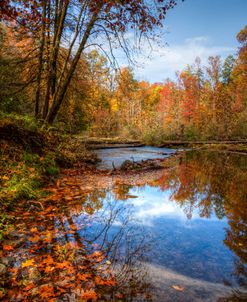 Autumn Leaves