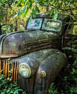 Old Ford Truck