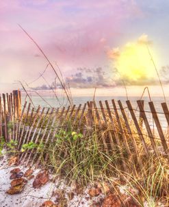 The Dunes in Watercolors