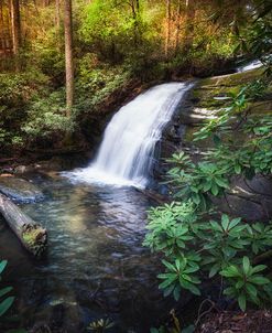 Morning Glow at the Waterfall