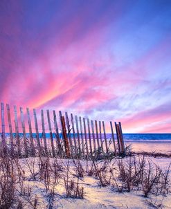 Beach Fences