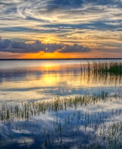 Lakeside At Sunset