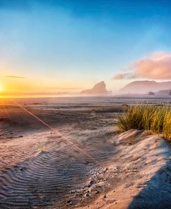 Dunes On The Pacific Coastline