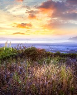 Seastacks At The Dunes