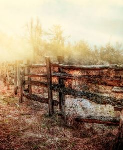 Wood Fences In The Fog