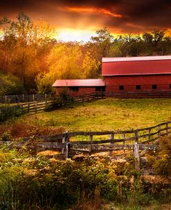 Fences at Sunset