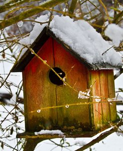 Snowy Birdhouse